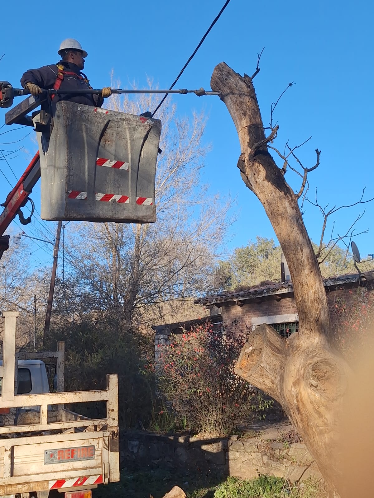 En este momento estás viendo ASÍ REALIZAMOS LAS PODAS DE RAMAS Y ÁRBOLES PARA CUIDAR LAS REDES ELÉCTRICAS